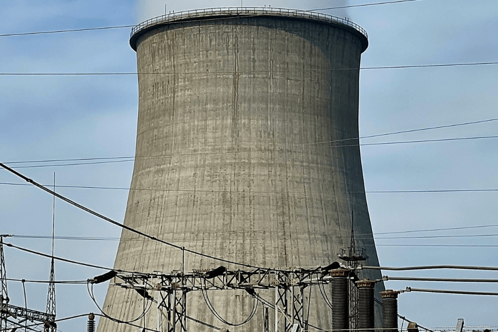 Nestle Pakistan to enter electricity market with thermal generation licenses​