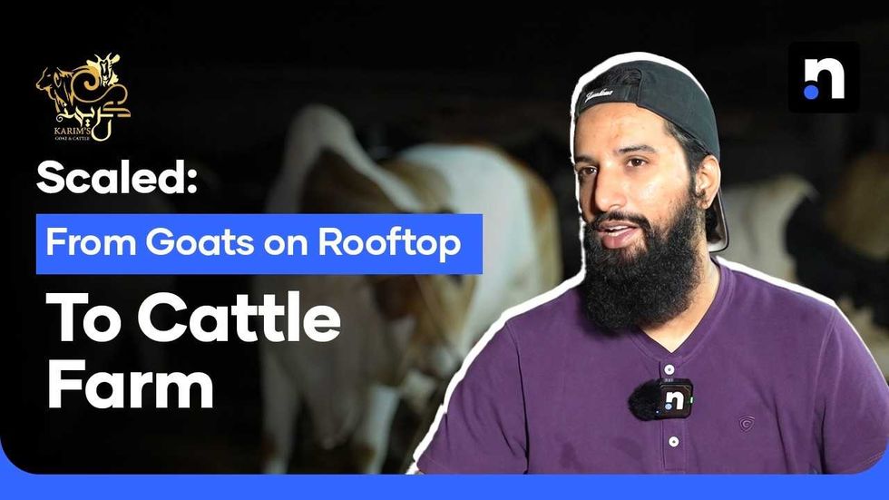 How a rooftop setup became a thriving 400-cow farm